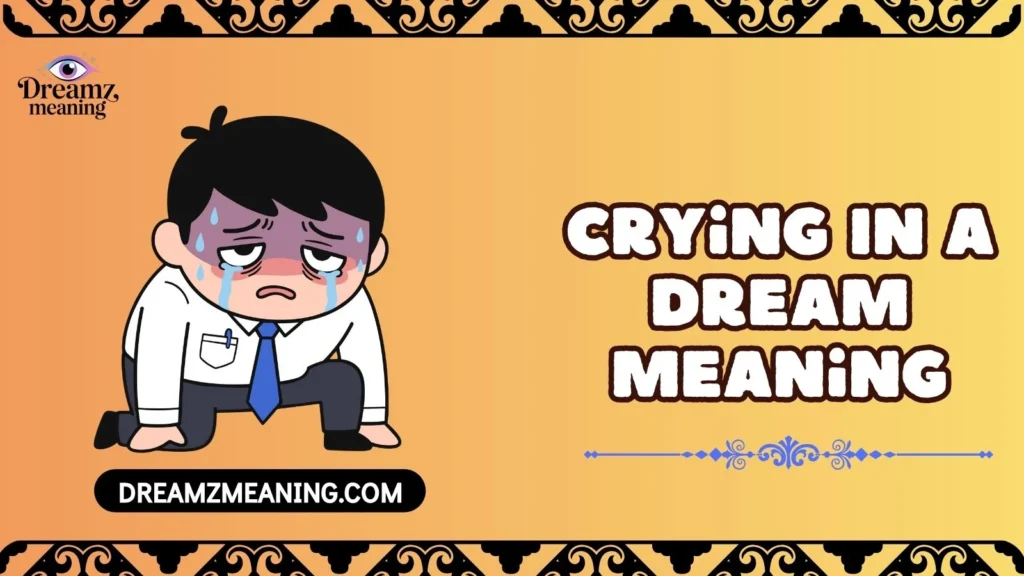 Crying In A Dream Meaning