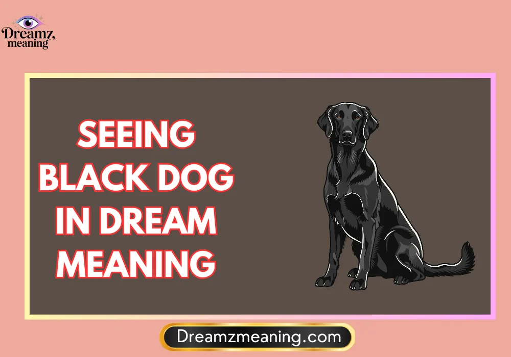 Dream of a Black Dog Attacking Me