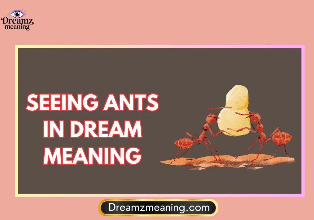 General Meaning of Seeing Ants In Dream Meaning