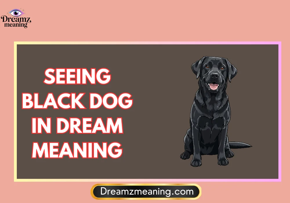 General Meaning of Seeing Black Dog In Dream