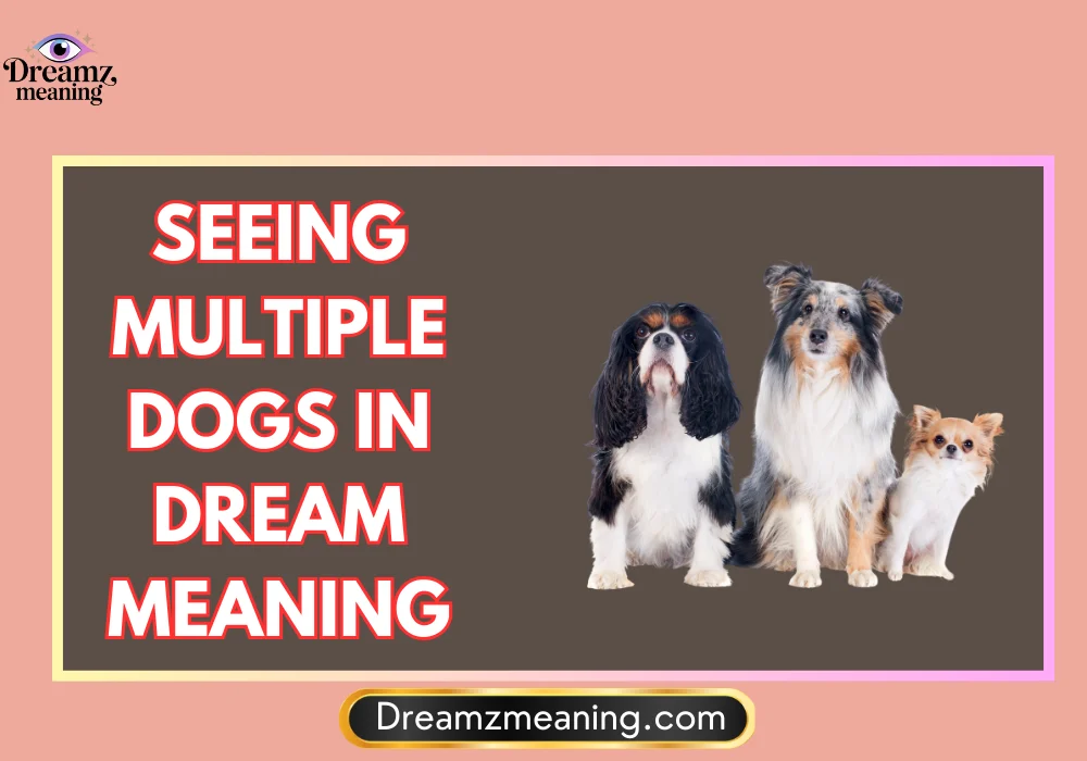 General Meaning of Seeing Multiple Dogs In Dream