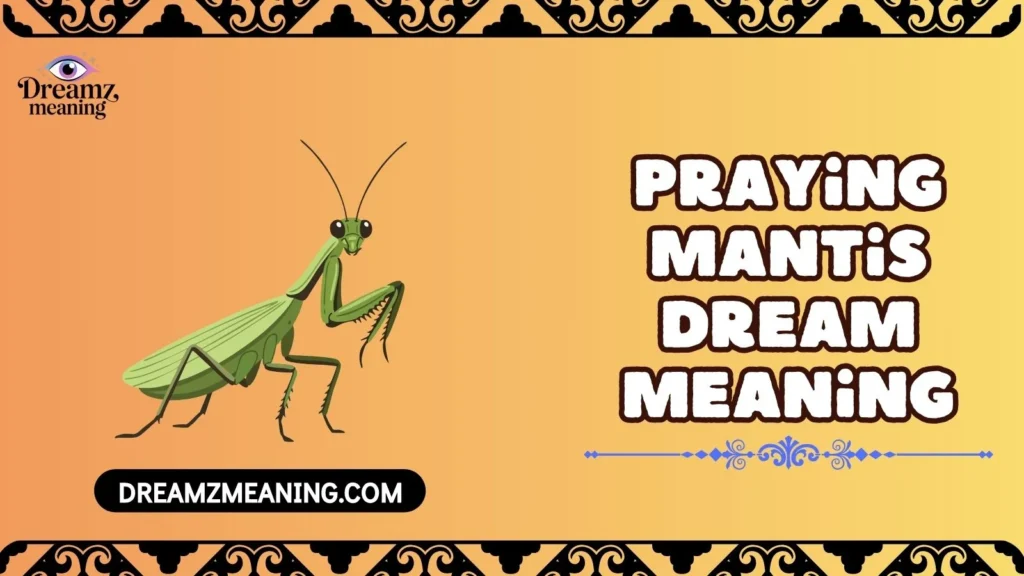 Praying Mantis Dream Meaning