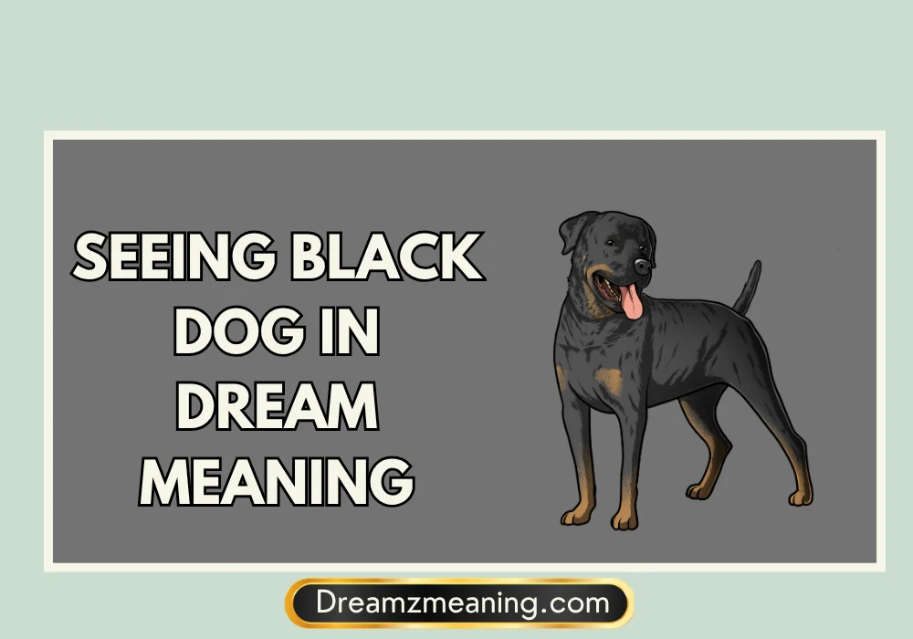 Seeing Black Dog Attacking in Dream Islam