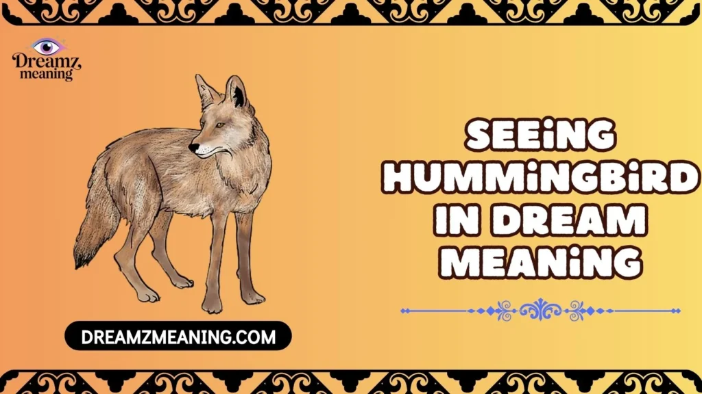 Seeing Hummingbird In Dream Meaning