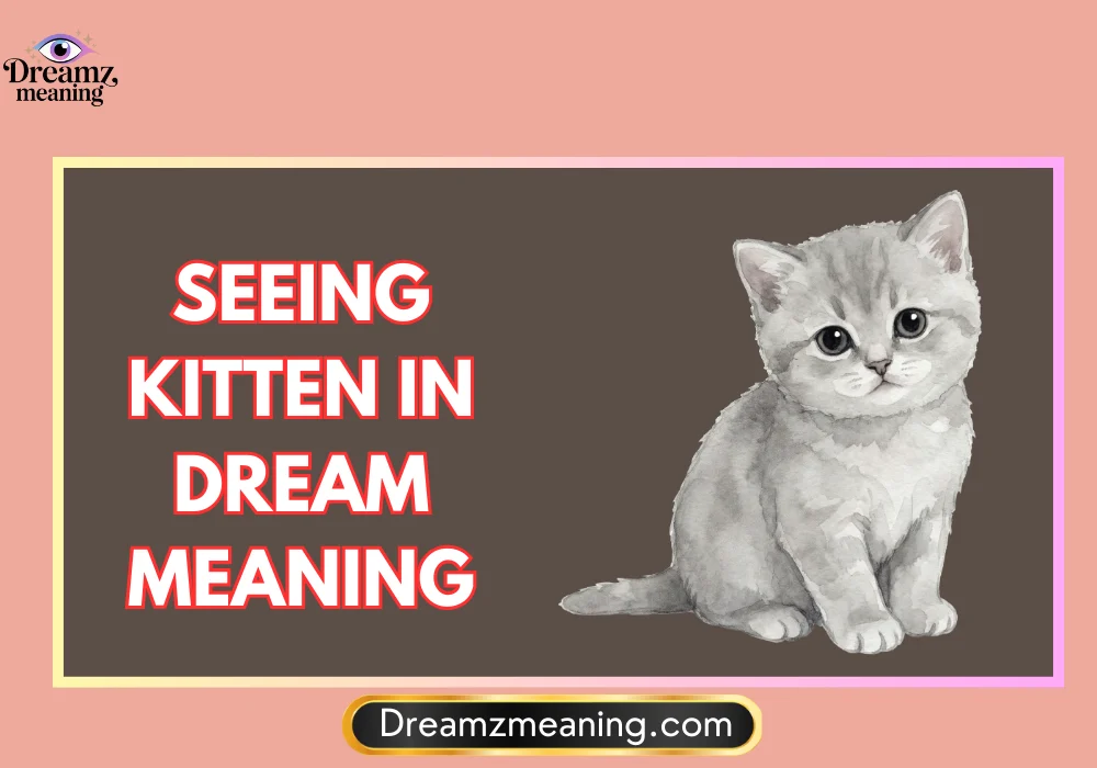 Seeing Kitten In Dream Meaning