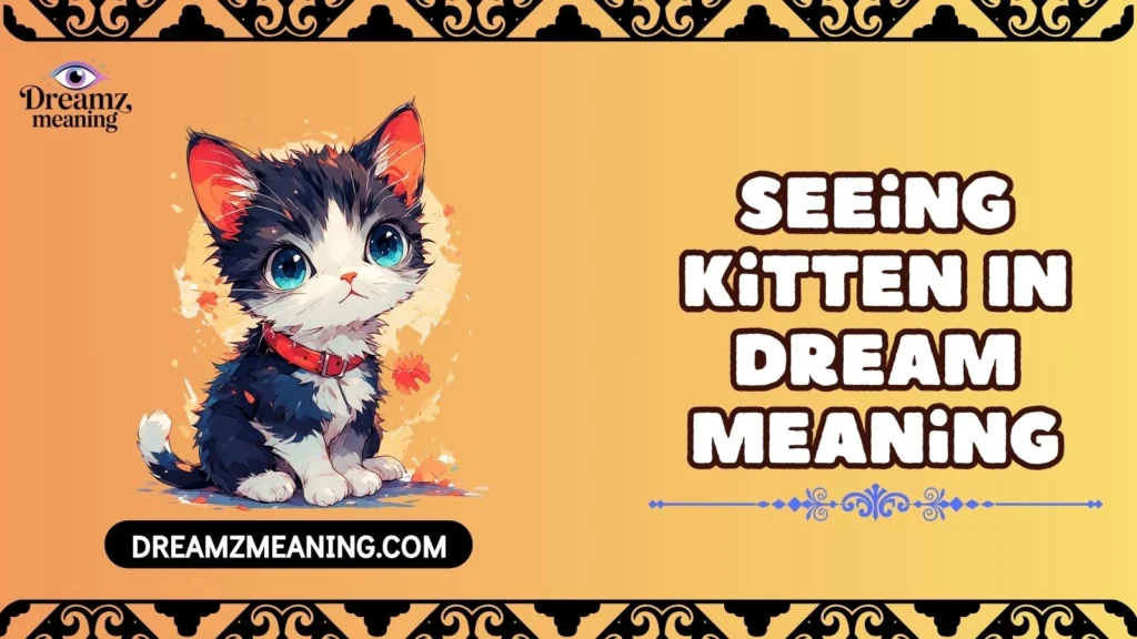 Seeing Kitten In Dream Meaning