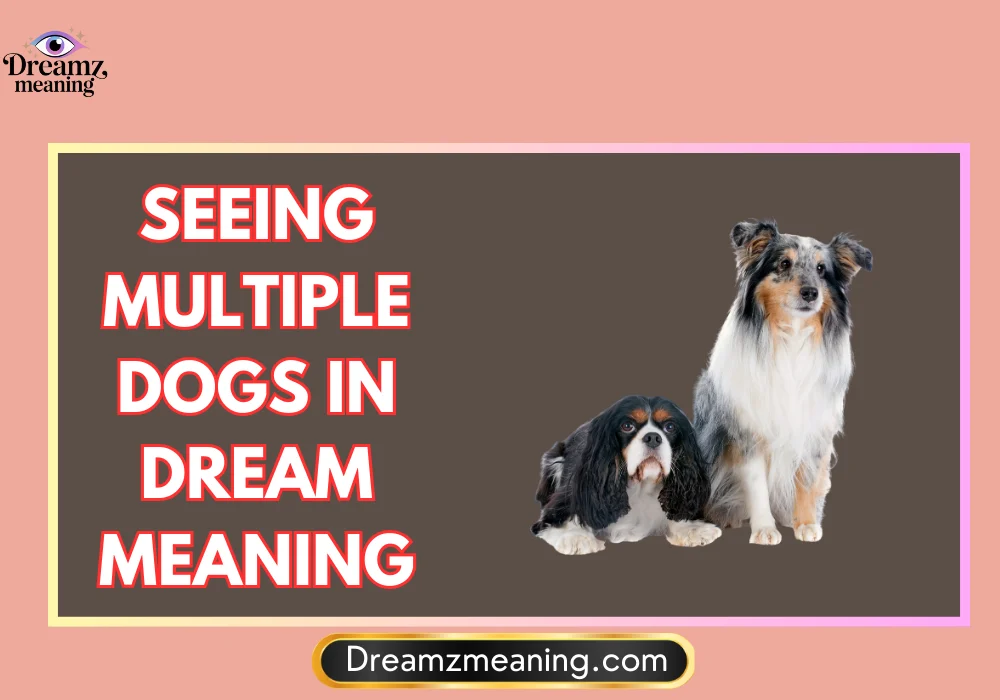 Seeing Multiple Dogs in Dream Meaning in Hinduism