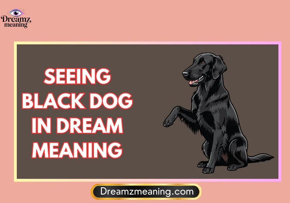 Spiritual Meaning of a Friendly Black Dog in a Dream