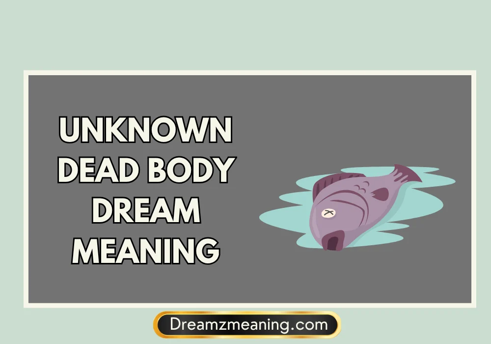 Unknown Dead Body Dream Meaning in Islamic Interpretation