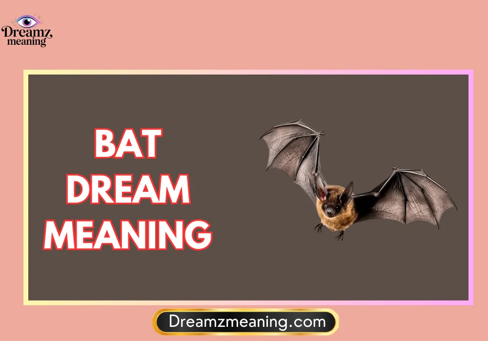 Bat Dream Meaning