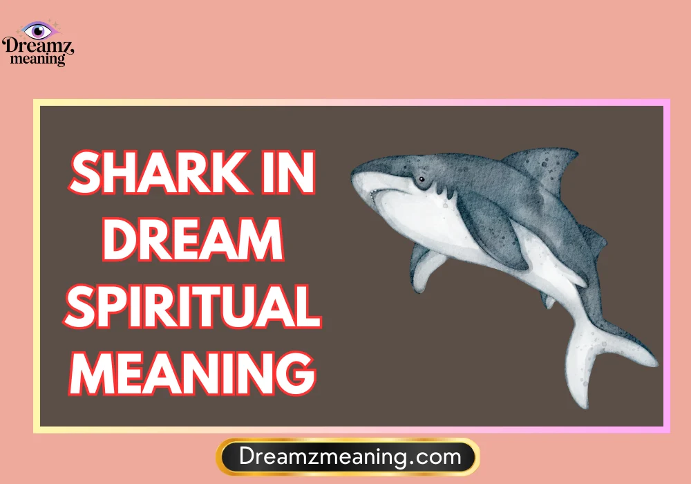 General Meaning of Shark in a Dream