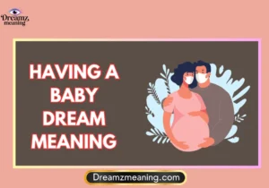 Having A Baby Dream Meaning