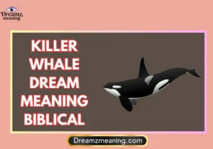Killer Whale Dream Meaning Biblical