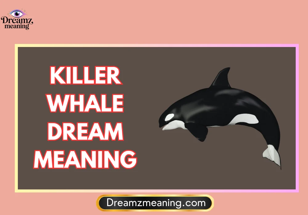 Killer Whale Dream Meaning