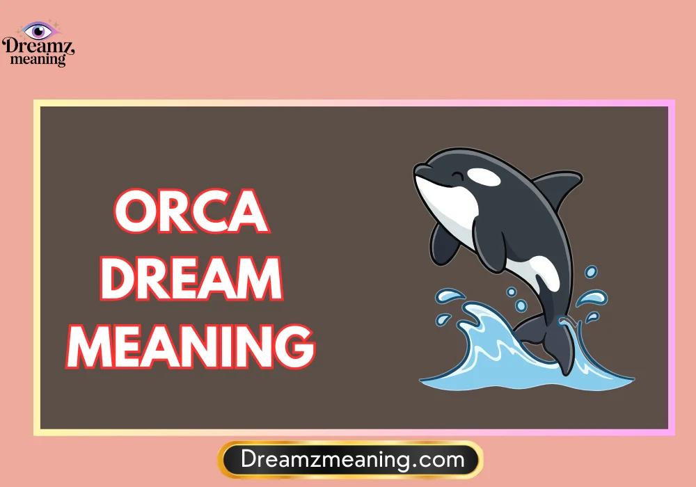 Orca Dream Meaning