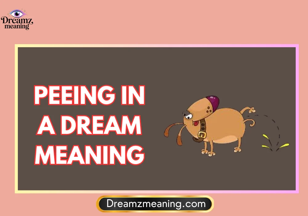 Peeing in a Dream Meaning in Islam