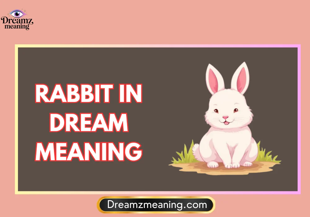 Rabbit In Dream Meaning