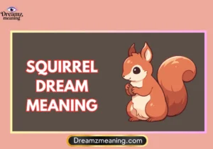 Squirrel Dream Meaning