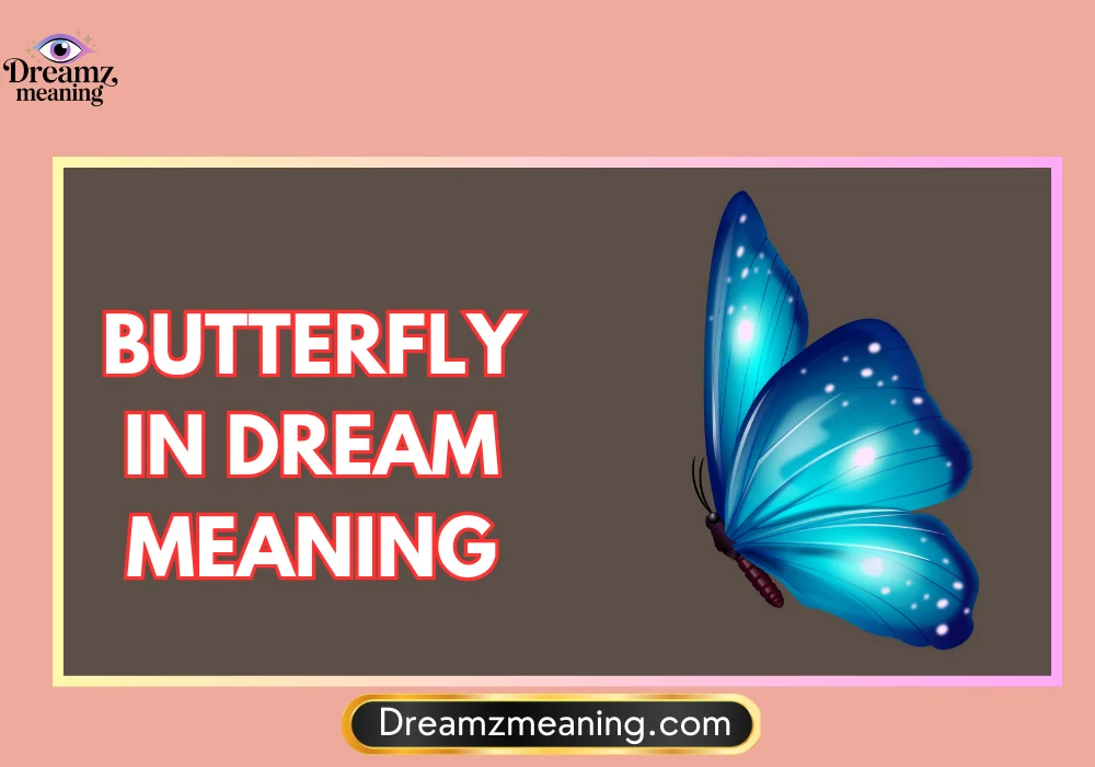 Butterfly In Dream Meaning