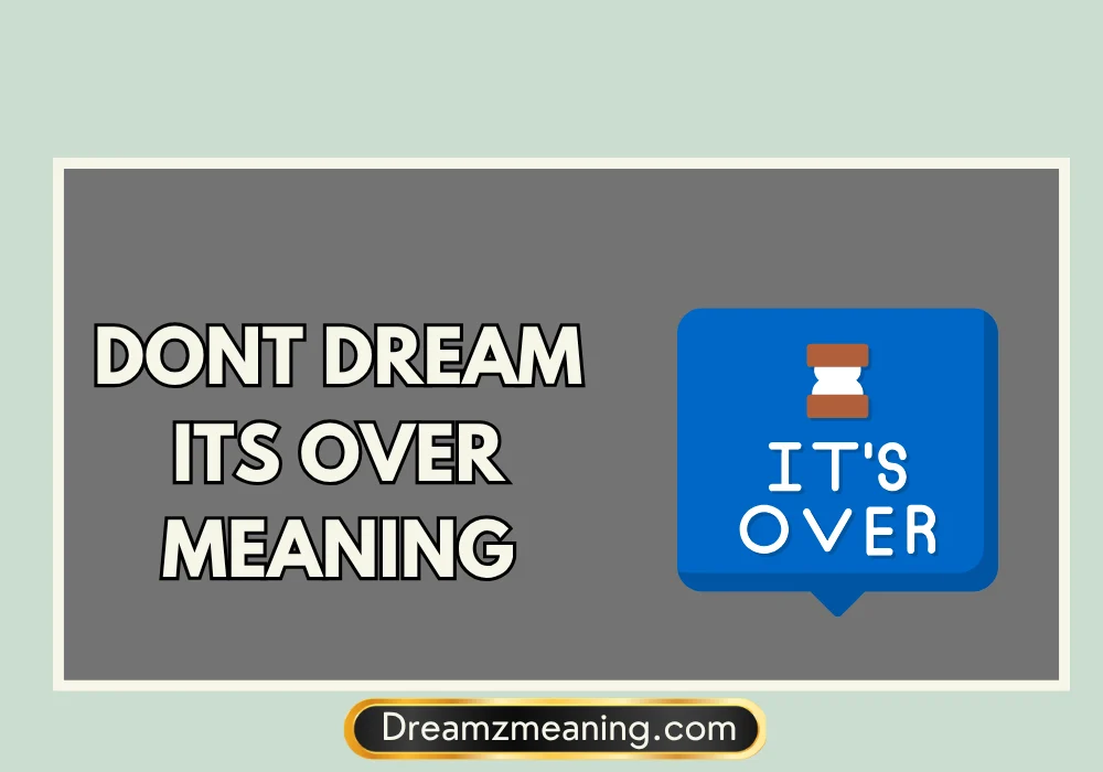 Dont Dream Its Over Meaning