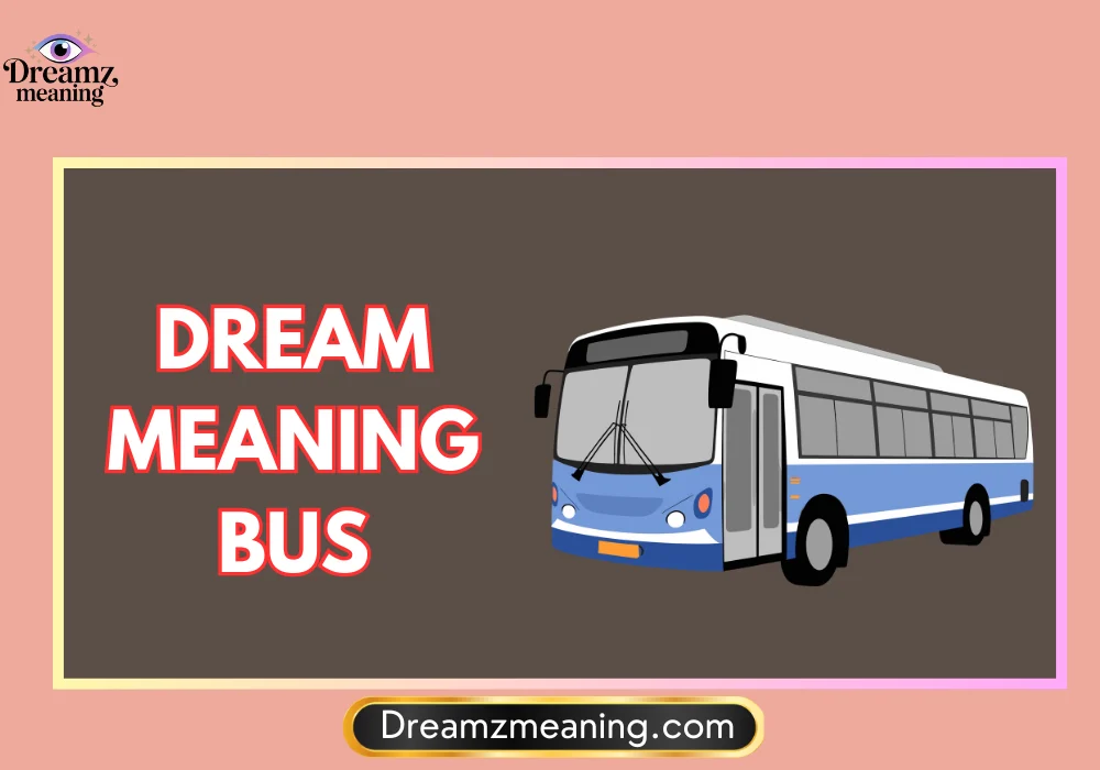 Dream Meaning Bus