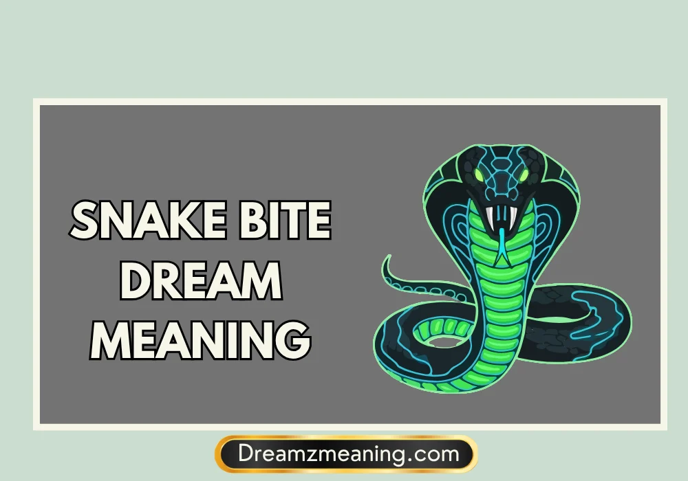 Snake Bite Dream Meaning