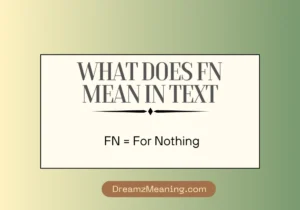 What Does FN Mean in Text