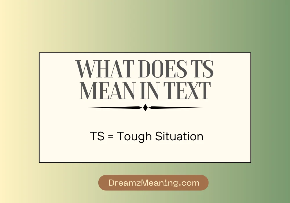 What Does TS Mean in Text