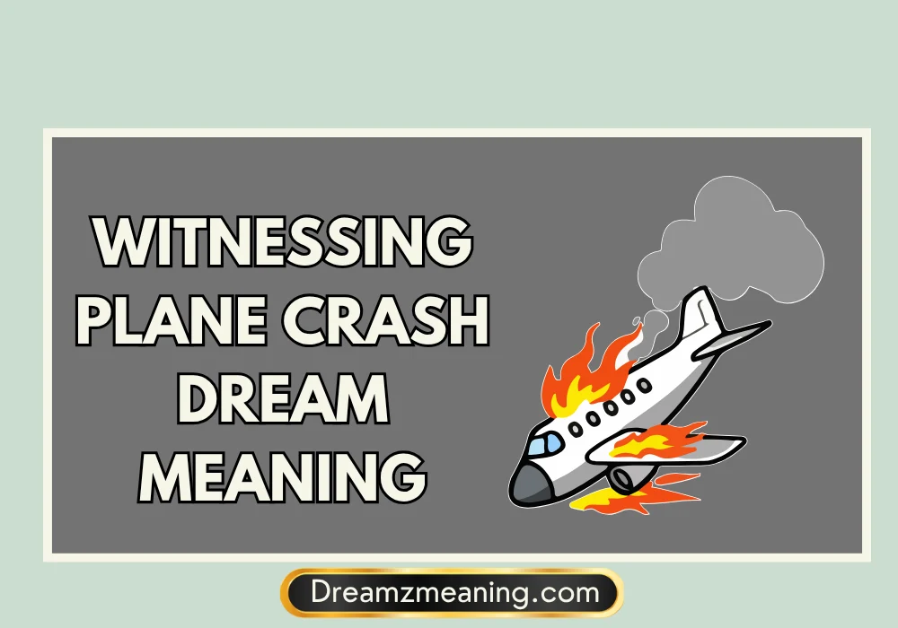 Witnessing Plane Crash Dream Meaning