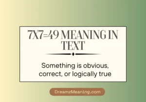 7x7=49 Meaning in Text