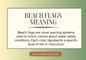 Beach Flags Meaning