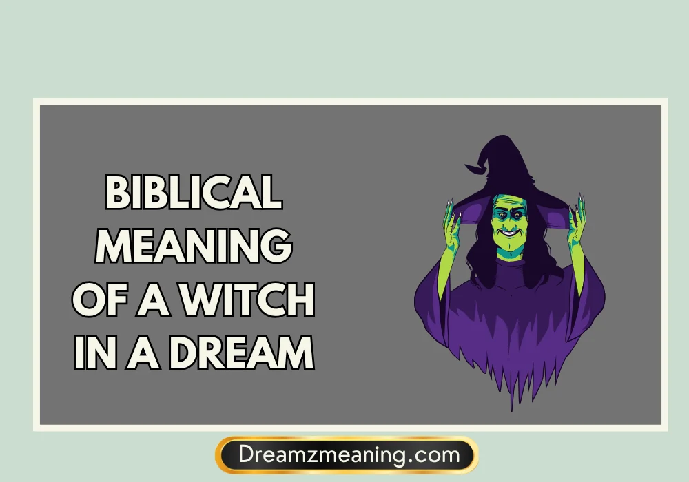 Biblical Meaning Of A Witch In A Dream