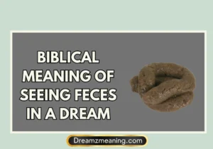 Biblical Meaning Of Seeing Feces In A Dream