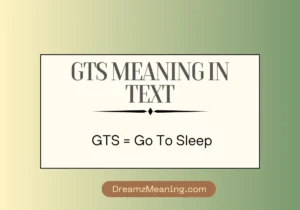 GTS Meaning in Text