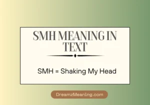 SMH Meaning in Text