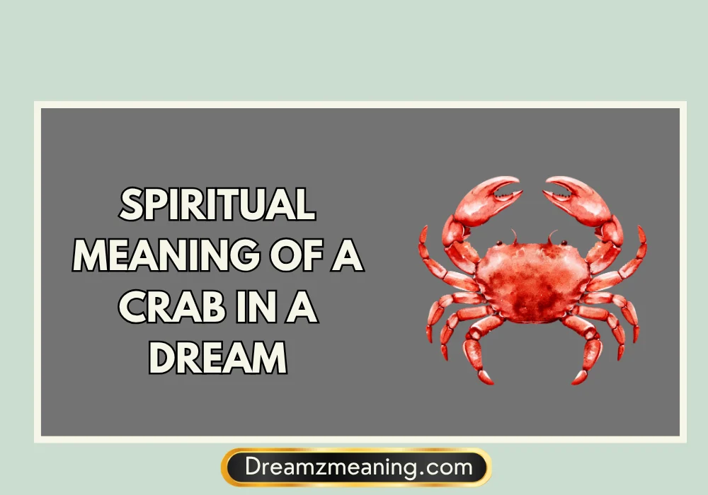 Spiritual Meaning Of A Crab In A Dream