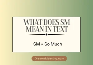 What Does SM Mean in Text