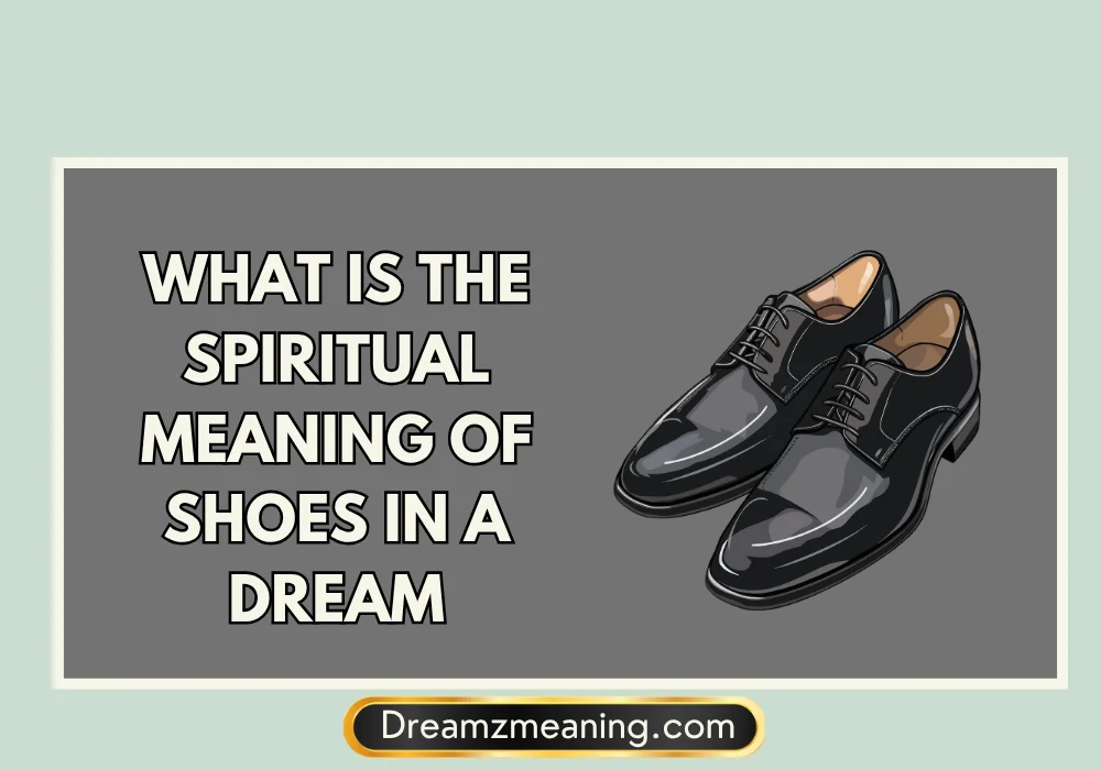 What Is The Spiritual Meaning Of Shoes In A Dream