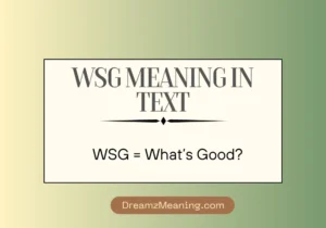 WSG Meaning in Text