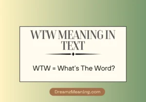 WTW Meaning in Text