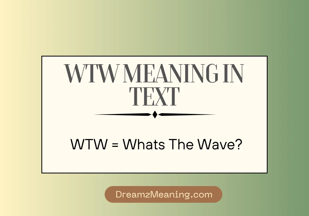 WTW Meaning in Text (Quick Answer