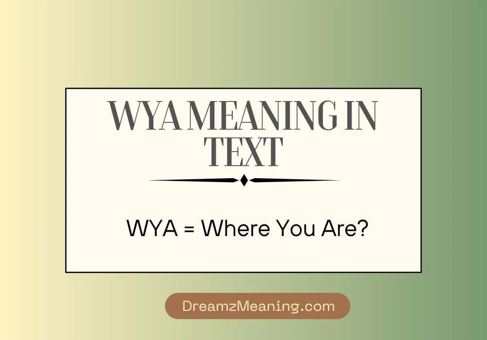 WYA Meaning in Text (Quick Answer