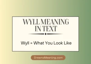 Wyll Meaning in Text