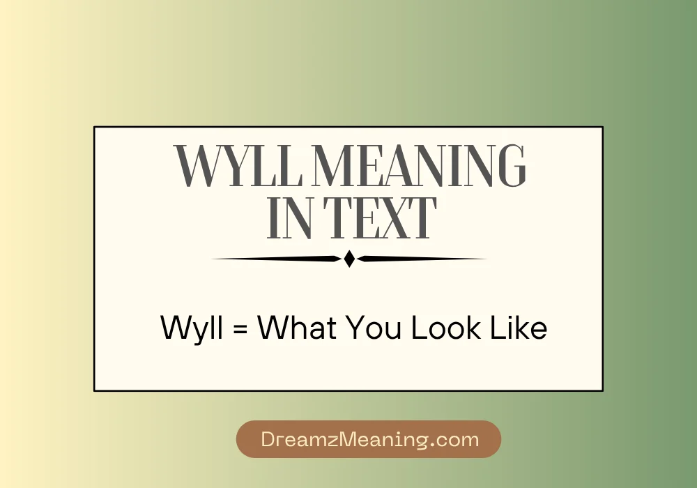 Wyll Meaning in Text